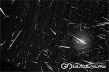 증평군, 특별한 밤 증평 인삼별 이야기 눈길