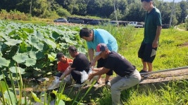 충주시, 동량면 신구실·느렁골 소류지 버들붕어 2천 마리 방류