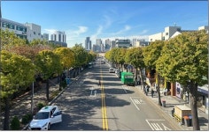 인천시, 산림청 평가 우수 관리 가로수길 6개소 중 2개소 선정