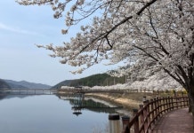 명품 휴식공간... 김천 오봉저수지