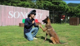 소노펫클럽앤리조트, 반려견 맡기는 힐링케어 상품 신규 출시