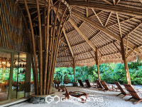 [국제포토] 조알리 빙, 약초 체험하는 곳