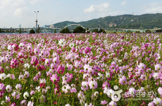 기상청, 찬공기유입 낮과밤 기온차 10도이상 이번주날씨예보