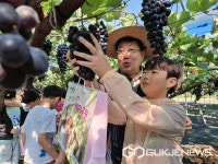 영동온마을배움터, 포도수확 체험 실시