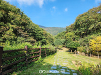 [국제포토] 고흥 거금도 생태숲에서 힐링하기