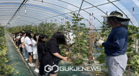 도촌초, 교육공동체 멜론 농장 체험학습 실시!