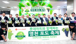 영천시, 2~8일까지 전국 롯데마트서 영천포도 특판행사 나서