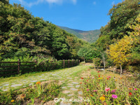 [국제포토] 거금생태숲 들어가는 길