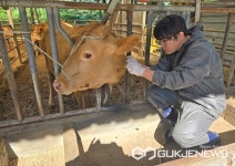 [속보]강원도 양양 한우농장서 럼피스킨 양성 확인...긴급 이동중지 명령