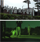 서서울호수공원은 왜 야생 동물에 점령됐나