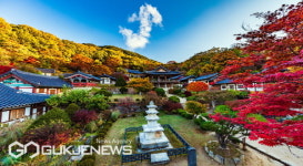 올가을, 꼭 가봐야 할 인생 여행지 영주