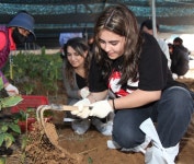 아빠, 힘내세요 제42회 금산세계인삼축제 피날레