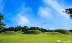 포항경주공항 이용 항공권 있으면→경주 사적지 관람료가 반값