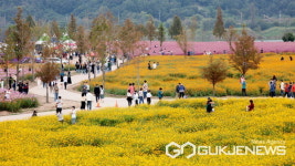 [포토] 의령군 호국의병의 숲 친수공원, 가을꽃 향연