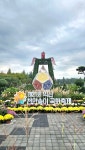 익산 천만송이 국화축제, 화려한 개막