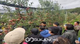 영주시 사과다축 재배기술 해법 현장에서 찾는다