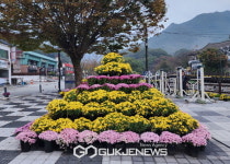 [포토] 공주시, 제1회 계룡산 국화길 여행 오는 28일 개막