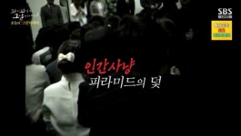 꼬꼬무 청년들 짓밟는 다단계 피라미드 이광남 사기 회사 조명