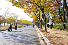 [국제포토] 인천대공원 진입광장 거니는 시민들