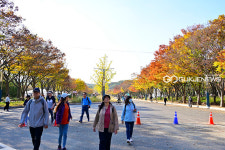 [국제포토] 거닐자 힐링하자, 인천대공원