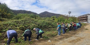 (사)온누리환경사랑운동본부 생태계 교란식물 제거 및 환경정화 활동