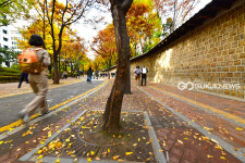 [국제포토] 정동길의 추억