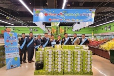 영동군, 명품 영동 샤인머스캣 판촉활동 펼쳐