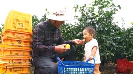 석부작 옮기다가 아이쿠 인간극장 제주도 정원의 한건현 가족 이야기