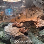 [포토] 가평, 신비동물원