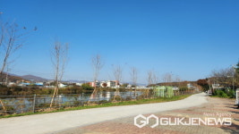 용인시, 처인구 모현읍·기흥구 공세동에 가로숲길 조성