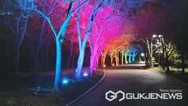 김해 삼계근린공원, 화려한 불빛으로 물들어