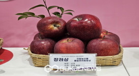 춘양면 김진만 씨, 대한민국 과일산업대전 장려상 수상