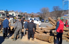 평창군 대화5리 양지마을 봉사단, 마을 최고령자 어르신 위해 땔감 지원