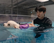  코코스퀘어, 香방송 HOY TV에 韓 펫프렌들리 스토어로 출연