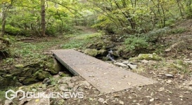 봉화 낙동정맥트레일 승부~분천 구간 재개통