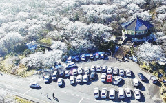 [속보] 제주 1100고지 휴게소 인근 교통혼잡 도로 통제 중