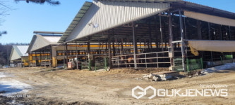 용인시, 축산농가 소득증대 위해  120억 2000만원 투입한다