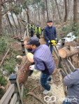 광주시 도척면, 폭설로 인한 위험 수목 임시 정비