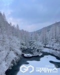 충북도 미동산수목원, 설 당일 제외 연휴 기간 정상 운영