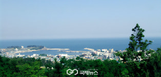 경주시, APEC과 함께하는 감포항 100년 기념사업 본격 추진