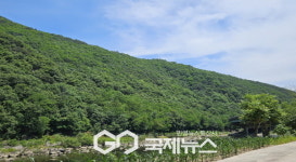 영주국유림관리소, 2025년 사유림 265ha 매수 추진