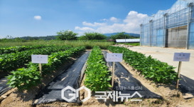 영주시농업기술센터, 콩, 팥 보급종 신청하세요