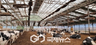 경기도, 축산업경쟁력 강화...올해 2,689억 원 투입