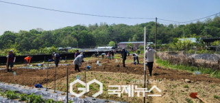 구로구, 2025년 주말농장 분양… 540구획 분양 신청·접수