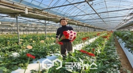 [기획] 봄날 맞은 봉화 화훼산업, 경북 화훼산업의 중심지로 자리매김