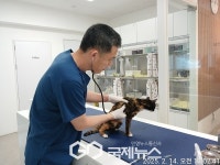 구로구, 길고양이 중성화 사업(TNR) 운영