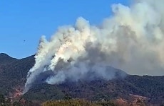 [속보] 단양 영춘면서 산불 발생...입산 금지