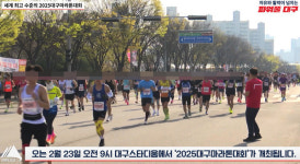 대구마라톤 교통통제구간·시간·주차장위치·우회도로 총정리