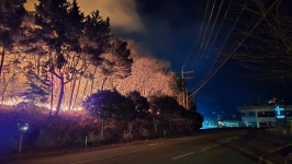거제시 소동리 산불 41분 만에 진화