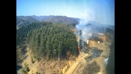 경기도 양평군 청운면 산불, 46분 만에 진화